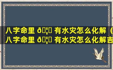 八字命里 🦟 有水灾怎么化解（八字命里 🦊 有水灾怎么化解吉凶）